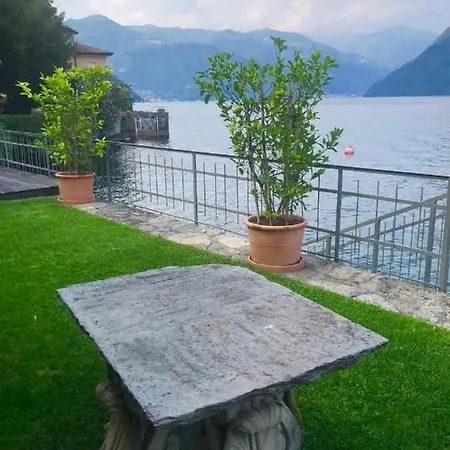 Delle Edere